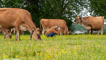 1-InTheField_pk