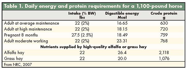 Hay Protein Chart