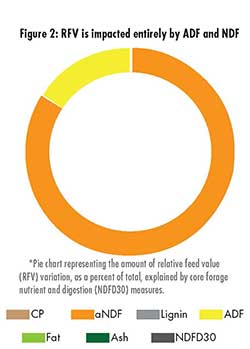 Rfv Hay Chart