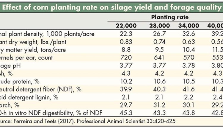 Corn Seeding Rate Chart