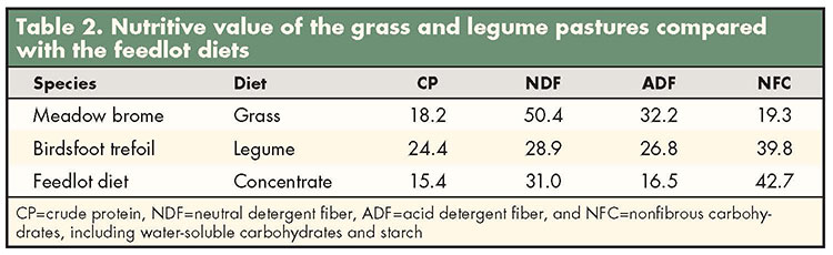 Steer Feeding Chart