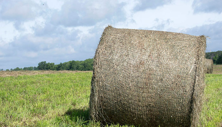 Round Bale Weight Chart