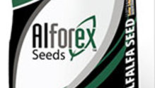 Alforex-web