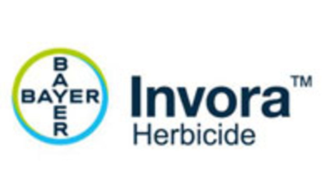 Bayer-Inova-logo