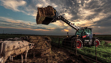 Bobcat-V723
