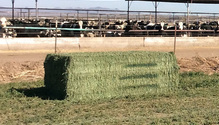 Harvest-Tec-Bale-RFV-Identity