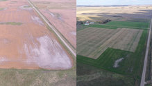 Millborn-diverse-crop-systems