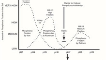 Phosphorus-Fixation-Graph